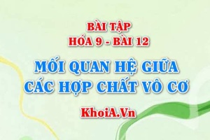 Giải bài 1, 2, 3, 4 trang 41 SGK Hóa 9 Bài tập về mối quan hệ giữa các hợp chất vô cơ